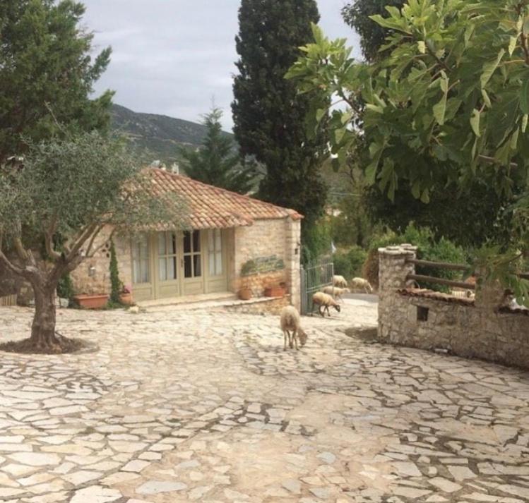 Elaion Guesthouse Elliniko  Luaran gambar