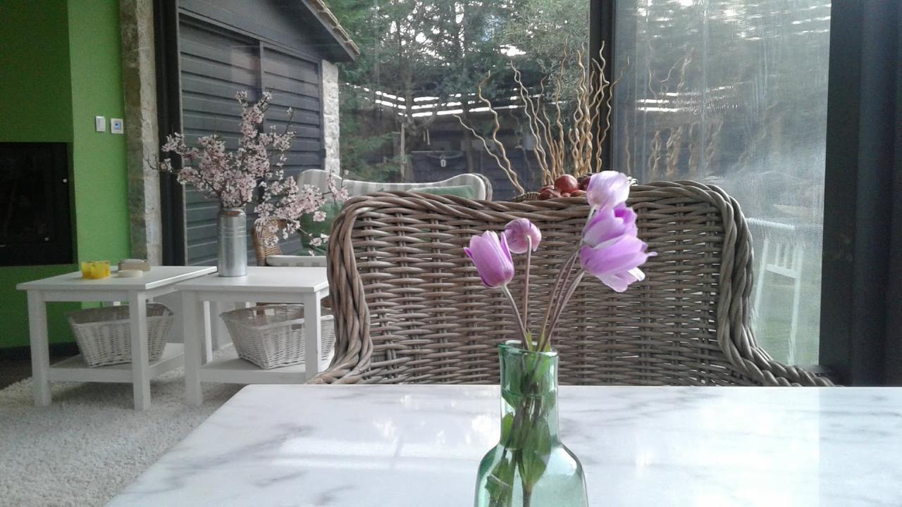 Elaion Guesthouse Elliniko  Luaran gambar